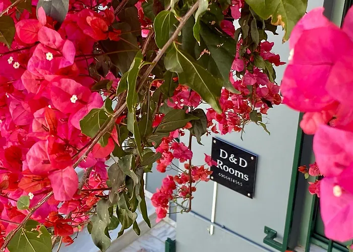 D&d 3 Apartamento Náuplia